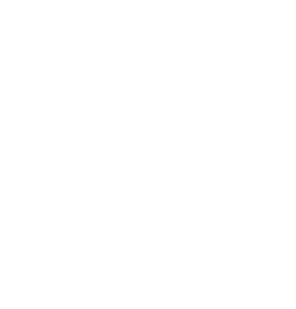 The Wilton Group LLC - Executive Search Services
